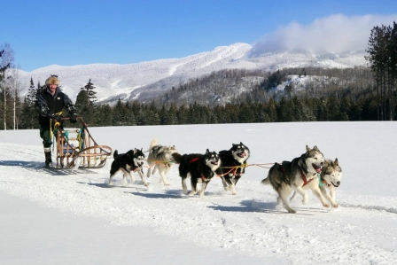 CREATOR: gd-jpeg v1.0 (using IJG JPEG v80), quality = 100